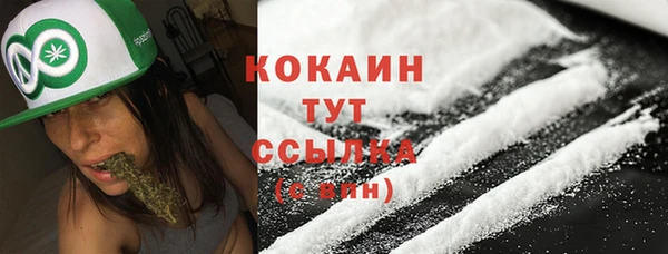 ПСИЛОЦИБИНОВЫЕ ГРИБЫ Медвежьегорск
