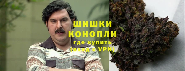 ПСИЛОЦИБИНОВЫЕ ГРИБЫ Медвежьегорск