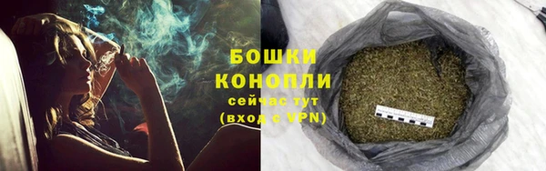 ПСИЛОЦИБИНОВЫЕ ГРИБЫ Медвежьегорск