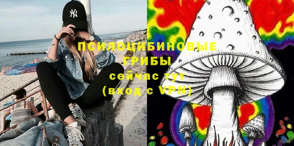 ПСИЛОЦИБИНОВЫЕ ГРИБЫ Медвежьегорск